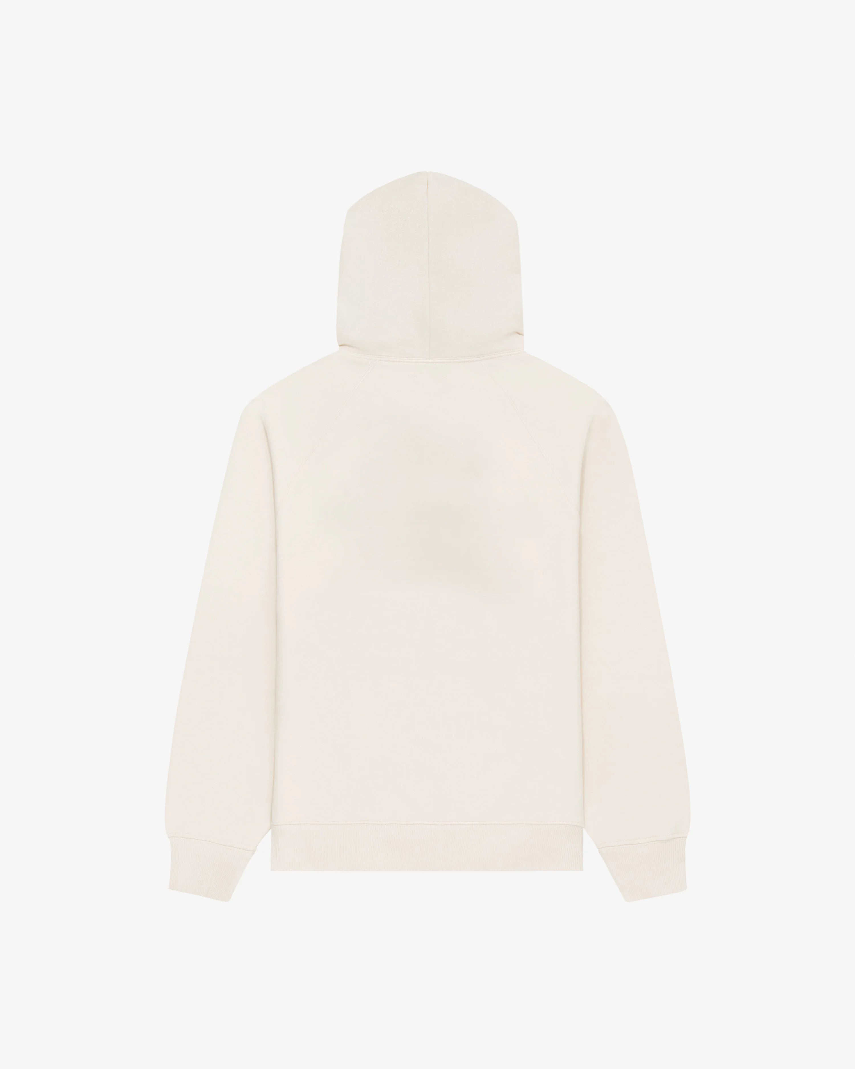 Pray for Snow Hoodie