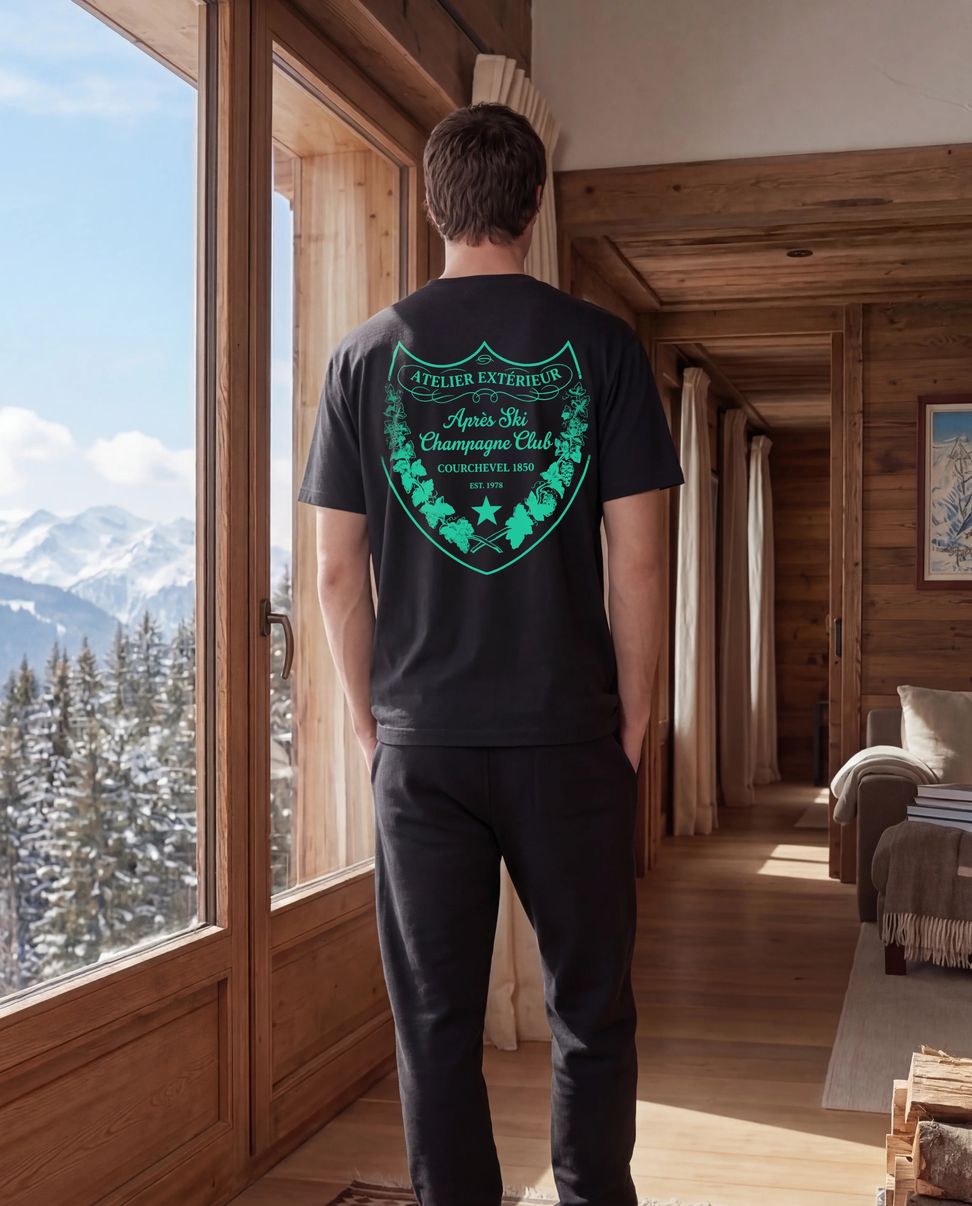 Person standing in a wooden cabin looking out at snowy mountains