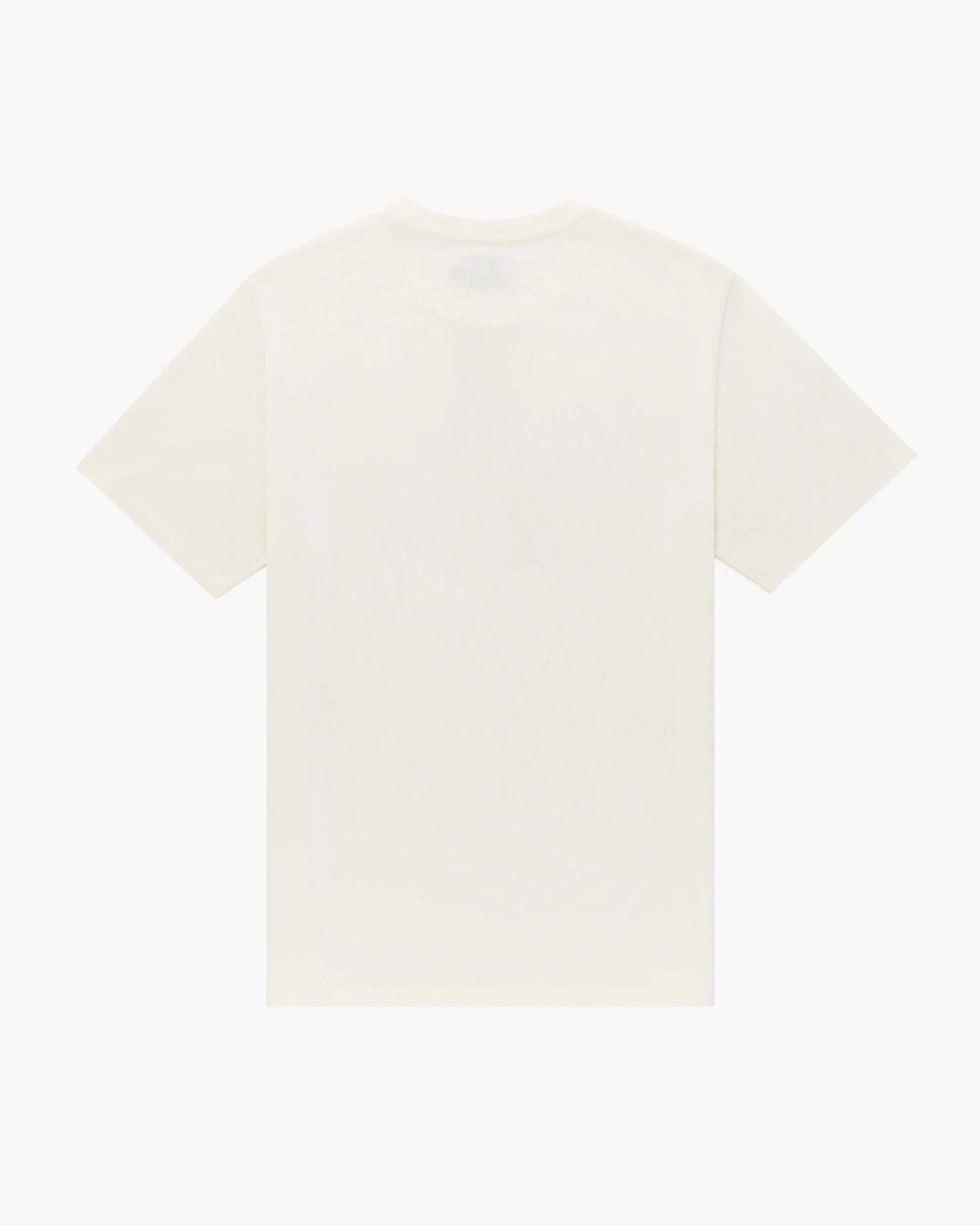 Pray for Snow Tee
