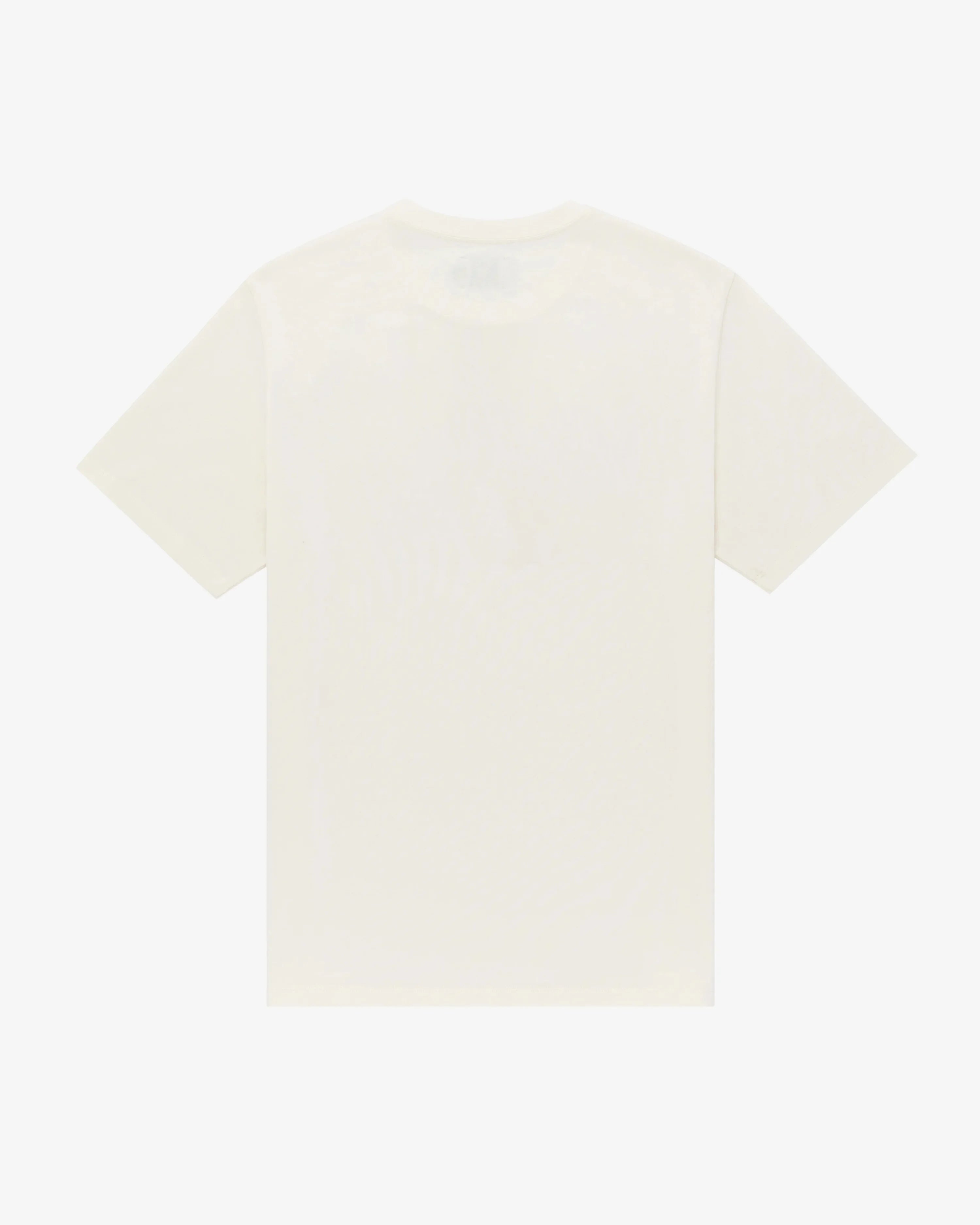 Pray for Snow Tee