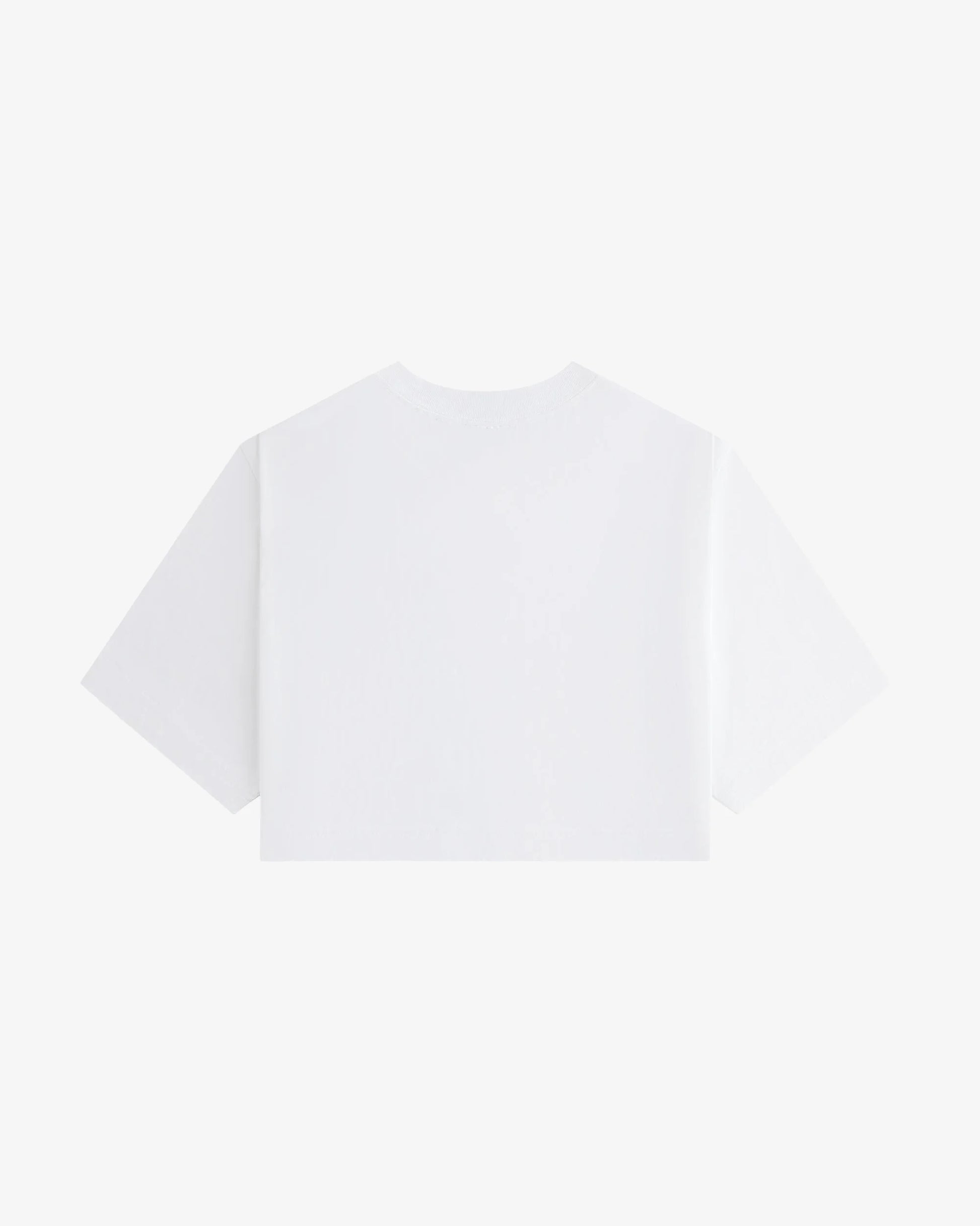 Snow Bunny Crop Tee