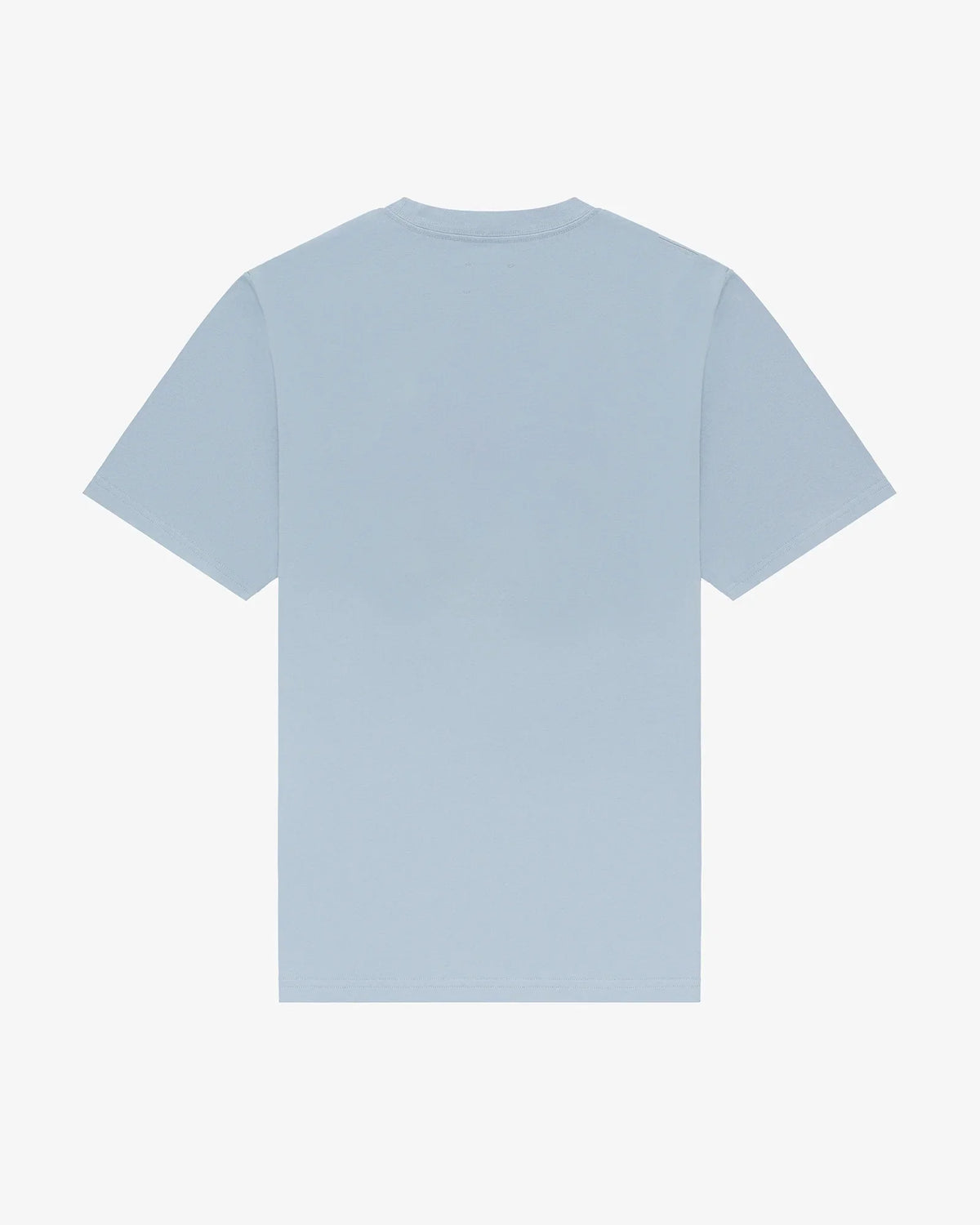 Alpine Ski Club women's tee in baby blue, back view, unprinted