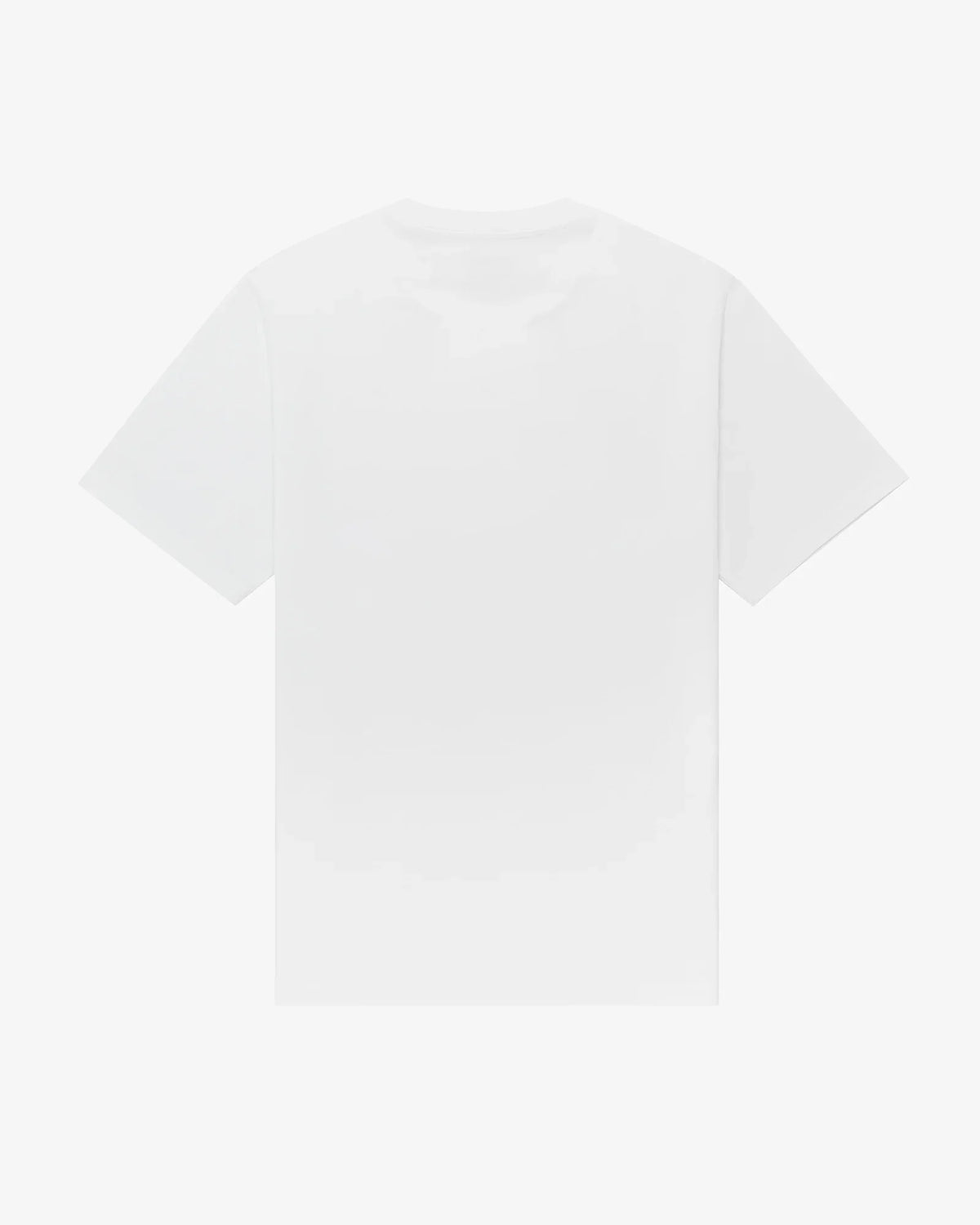 How to Fall women's tee in white, back view, unprinted